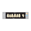 TOOTH CARD SUPERLUX MAJOR UPPER ANTERIOR A3.5-A4