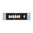 TOOTH CARD SUPERLUX MAJOR UPPER ANTERIOR B2-B4