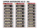 TOOTH CARD SUPERLUX MAJOR UPPER ANTERIOR A3.5-A4