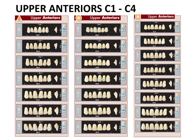 TOOTH CARD SUPERLUX MAJOR UPPER ANTERIOR C1-C4