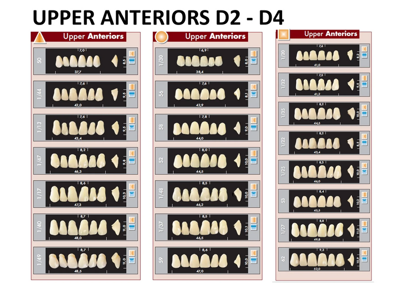 TOOTH CARD SUPERLUX MAJOR UPPER ANTERIOR D2-D4