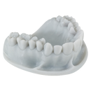 3D PRINTING RESIN KEYORTHO MODEL 385nm-405nm 1kg