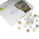 BIOMIC STAIN KIT