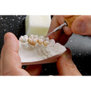 GEO EXPERT LINE WAX RENFERT- DEVELOPED BY AUGUST BRUGUERA